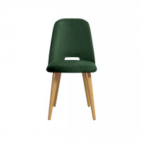 Manhattan Comfort 1020564 Selina Velvet Accent Chair in Green